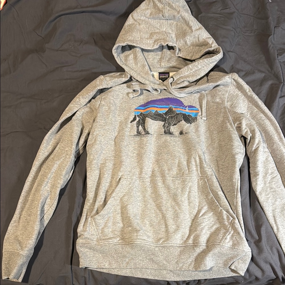Patagonia Gray Hooded Sweater with Relaxed Fit